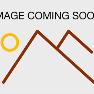 Brown Butter Ginger Molasses Cookie