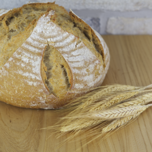 Country Wheat Sourdough Boule