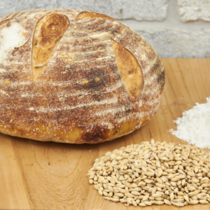 Plain Sourdough Boule