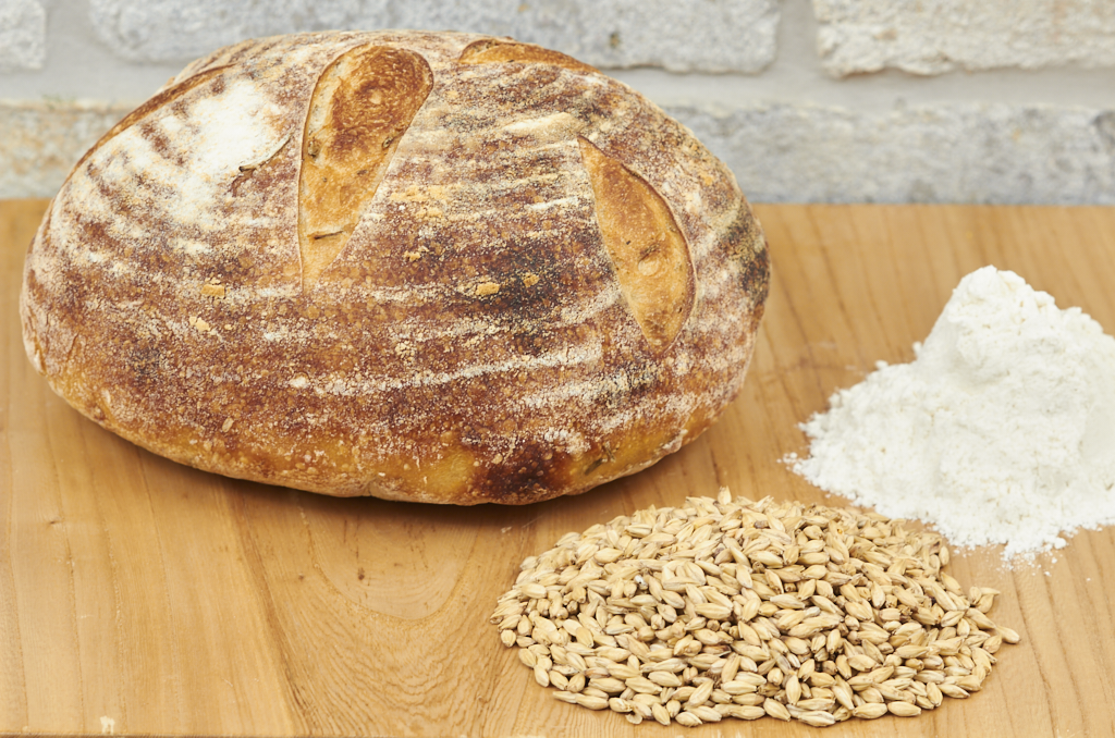 Plain Sourdough Boule